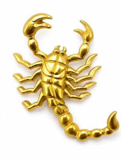 Scorpion broosh