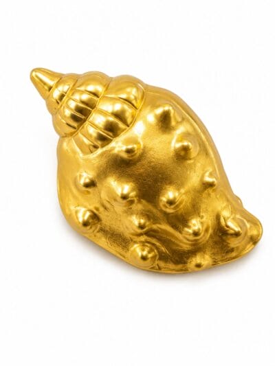 Golden Seashell Brooch